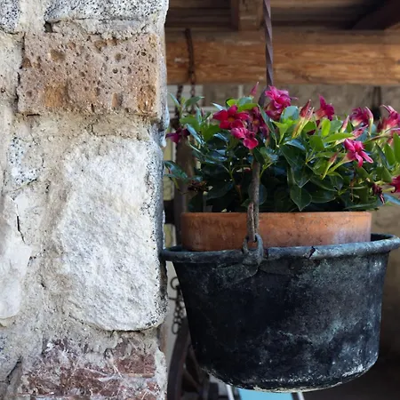 Casa Rita App 4 דירה Tremosine